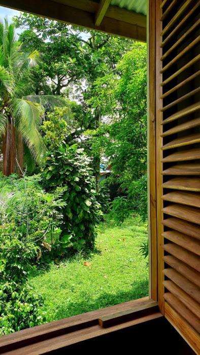 Old Bocasso Hostel Bocas Town Ngoại thất bức ảnh