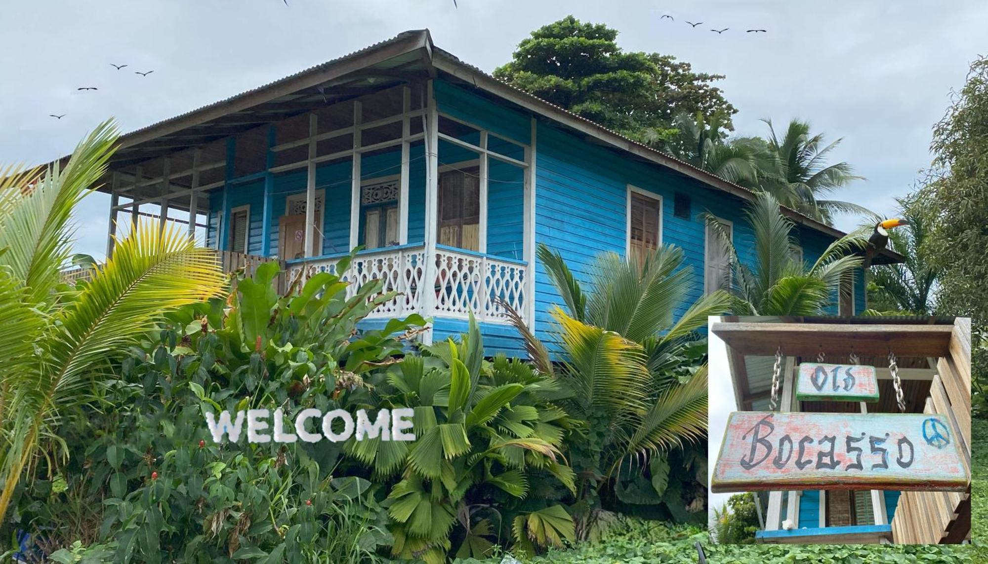 Old Bocasso Hostel Bocas Town Ngoại thất bức ảnh